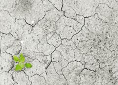 Super El Niño Nears Record Levels as Peak Still Lies Ahead