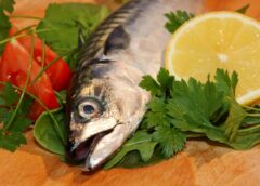 How Healthy Is Fish Really for Us? A Closer Look at a Beloved Food