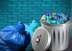 More and more food is ending up in the trash in Austria