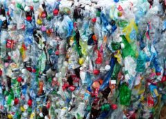 Bacteria can decompose plastic waste