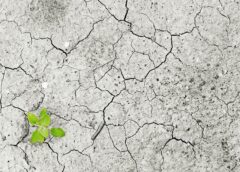 Climate Change: These Countries Could Be Inhabitable Due to Warming in 2070