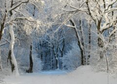Snow and storms on the way: Cold front brings first signs of winter