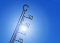 35 degrees! The first heatwave of the year now hits us with full force