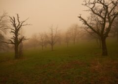 Saharan Dust Dims Spring Weather on Sunday, 8 March 2026