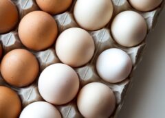Serious health risk: why you should never wash eggs before cooking them