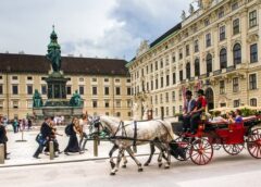 Austria: Diasporas have a pull effect
