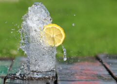 Why You Should Drink More Water
