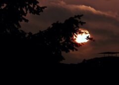 A total lunar eclipse will be visible in Austria tonight