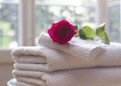 How Often Should I Change My Towel? The Surprisingly Fascinating Story of a Bathroom Essential