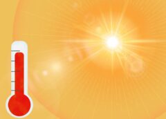 Extreme heatwave in Austria: Temperatures expected to reach 36 degrees