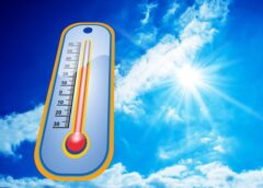 Heatwave on the Horizon? What Austria Can Expect in the Coming Days
