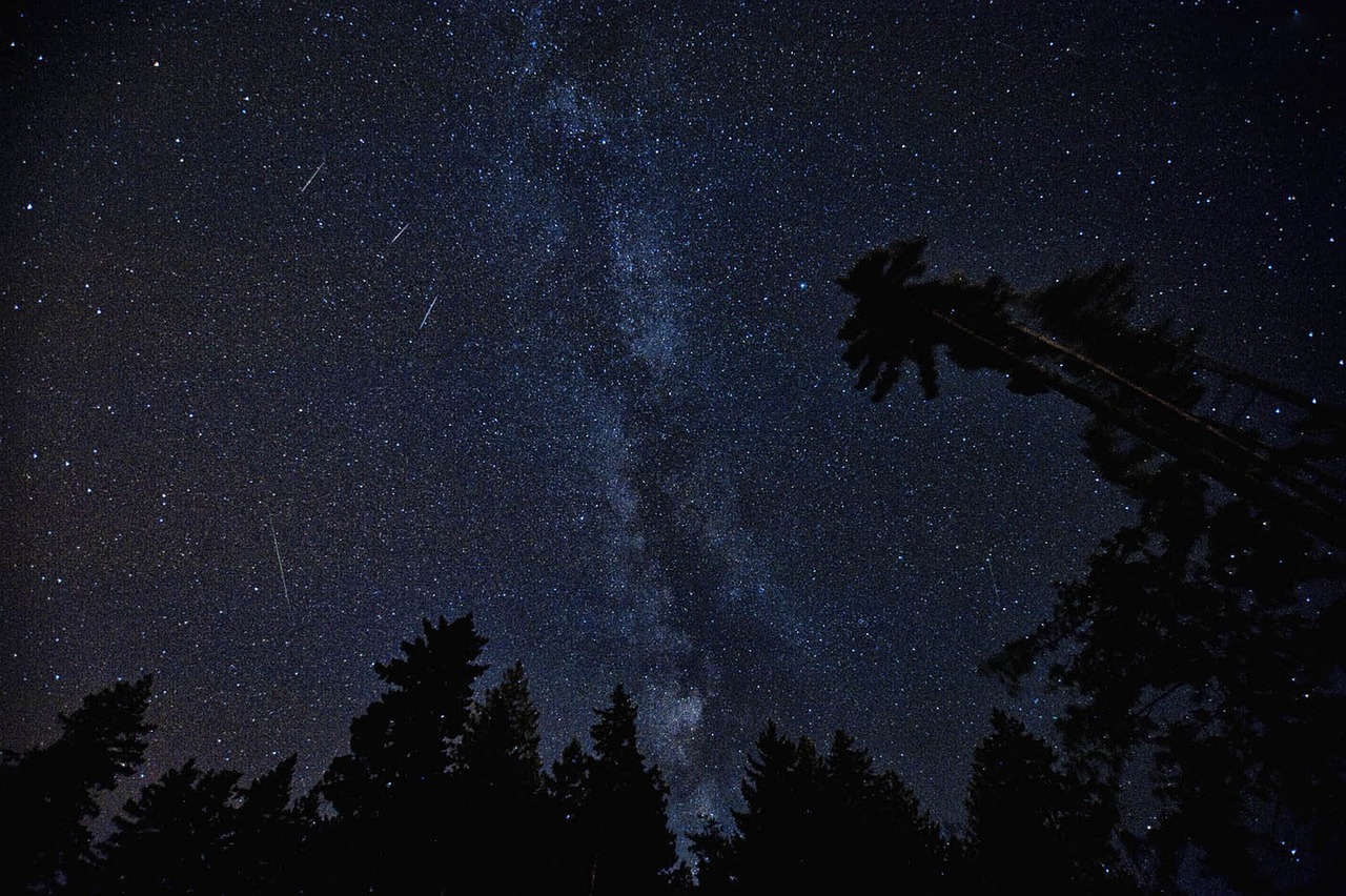 The best chance to see the Perseids Austrian News