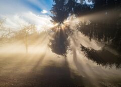 Fog Tightens Its Grip on Austria as Gray Weather Dominates the Week