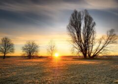 Christmas weather: The sun returns