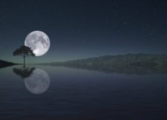 Why the Moon Captivates Us