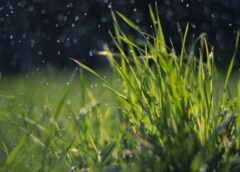 A noticeably mild end to February: Is spring arriving early this year