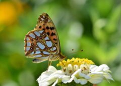 More than 30 degrees: sunny and hot weather at the weekend