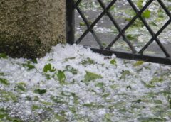 A violent storm raged in Vienna’s Urban Lakeside on Sunday – hail and heavy rain included