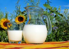 A glass of milk a day reduces the risk of bowel cancer