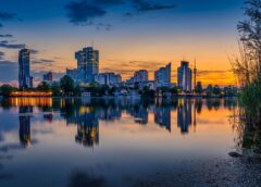 Virus causes massive carp deaths in Vienna’s Old Danube