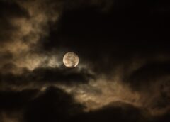 Tonight it will be at its largest—the “Hay Moon” is coming