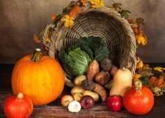 Sustainable nutrition significantly reduces cancer risk