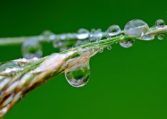 Weather in Austria will be unstable this week