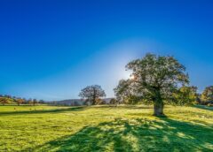 June breaks heat records for the third year in a row
