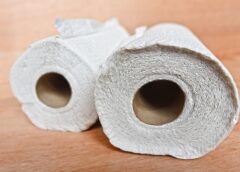 Cleaning: Why you should always keep paper towels in your refrigerator