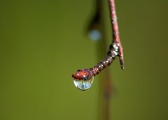 Changeable weather at the weekend