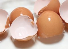 Eggshells: The natural fertilizer for healthy plants