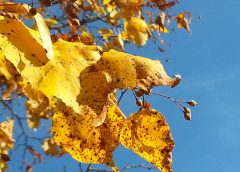 Our chances of a golden October are looking good