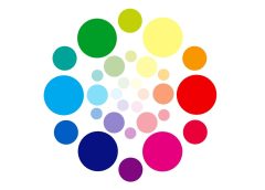 Intelligent people often have the same favorite color