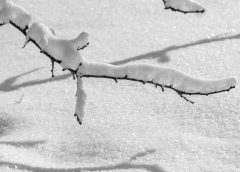 Probably first snow in Vienna this weekend