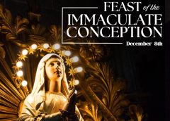 Reflection on the Feast of the Immaculate Conception (December 8)