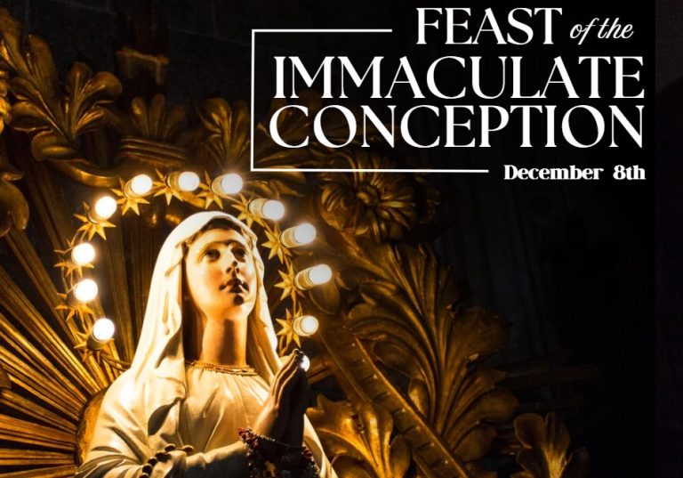 Reflection on the Feast of the Immaculate Conception (December 8 ...