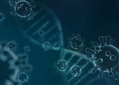 How to tell if you have coronavirus, flu, or a cold