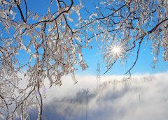 Minus 16.1 degrees Celsius: Cold weather continues to grip Austria