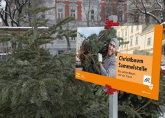 What to do with your Christmas tree after the holidays?