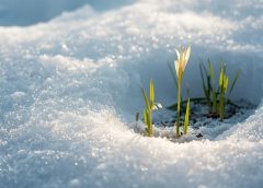Weekend Brings Snow First — Then a Taste of Spring
