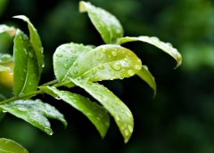 Weather Turning More Unsettled and Less Mild