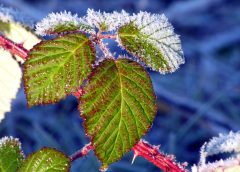 Cold Front to Replace Sunshine: Weather Shift Expected in Vienna on Wednesday