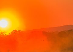 Saharan Dust Set to Reach Austria as Week Begins