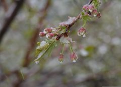 Cold Front Brings Heavy Rain and Even Snow Across Austria