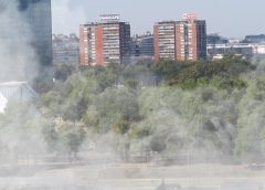 Mass Barbecue Blankets Vienna’s Danube Island in Thick Smoke on Easter Sunday