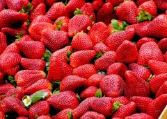 Austrian Strawberries: Why They’re Among the Healthiest in Europe