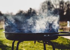 Vienna Pulls the Emergency Brake: Grilling and Smoking Now Banned Due to Extreme Fire Risk