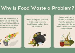 €100 Down the Drain: How Much Food Austrians Throw Away Every Month