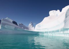 Interstellar Dust in Antarctic Ice: What an 80,000‑Year‑Old Signal Reveals About Our Place in the Galaxy