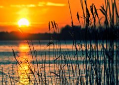 Shortest Night of the Year Approaches as Summer Solstice Nears